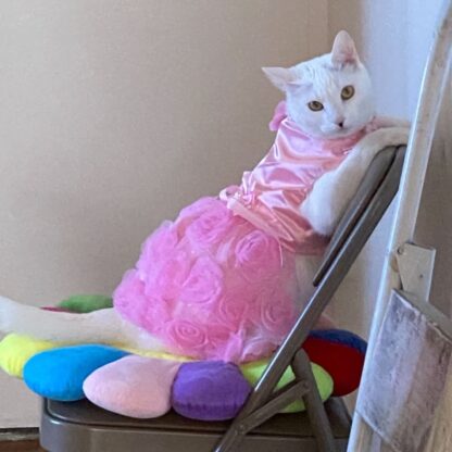 Luxury Cat Princess dress with Rose Pearl - Image 2