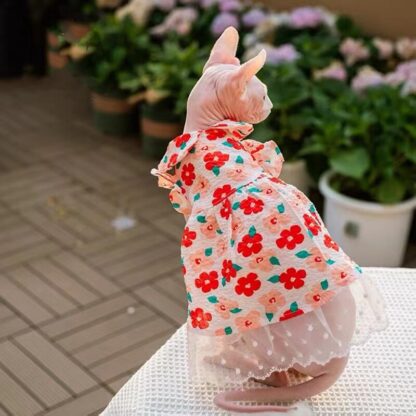 Red Floral Lace Skirt with Collar - Image 3