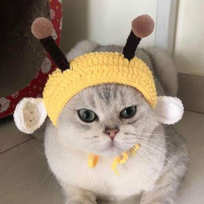 Cute Cat Costume with Bee Headgear
