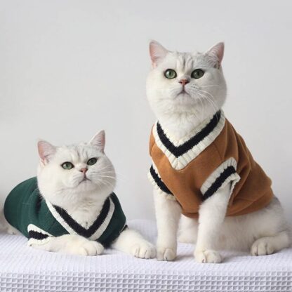 Warm and Stylish Cat Sweater