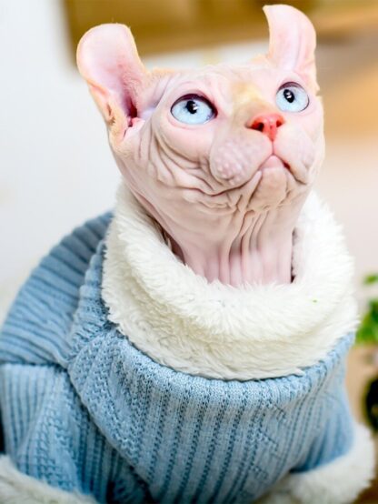 A Stylish and Warm Pullover for Winter Days - Image 3