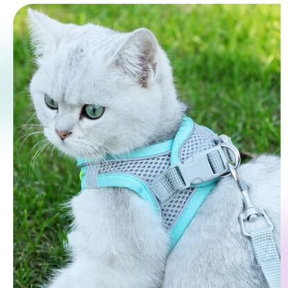 Adjustable Mesh Harness and Leash Set for Cats - Image 2
