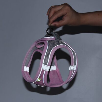 Adjustable Mesh Harness and Leash Set for Cats - Image 3