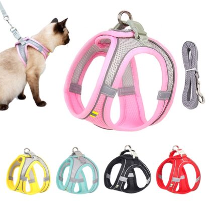 Adjustable Mesh Harness and Leash Set for Cats