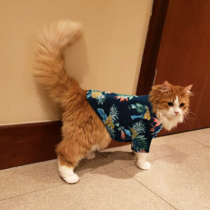 Cat Vest with Floral Design - Image 4