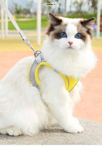 Adjustable Mesh Harness and Leash Set for Cats - Image 5