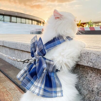 Beautiful Bow Cat Dresses with Leash