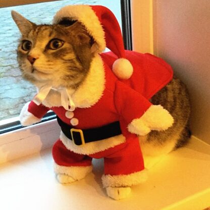 Funny Christmas Kitten Costumes - Image 2