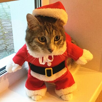 Funny Christmas Kitten Costumes - Image 6
