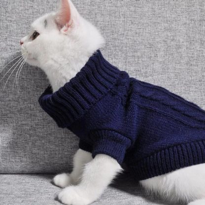 Winter Cat Jacket Sweater