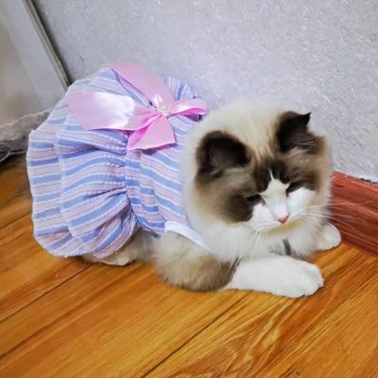 Striped and Plaid Cat Dress - Image 3