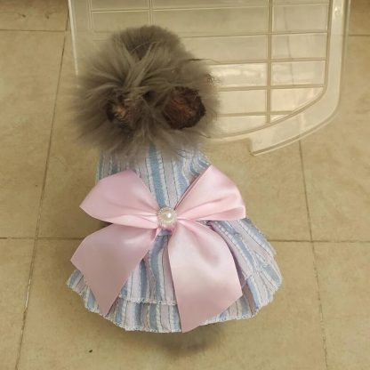 Striped and Plaid Cat Dress - Image 2