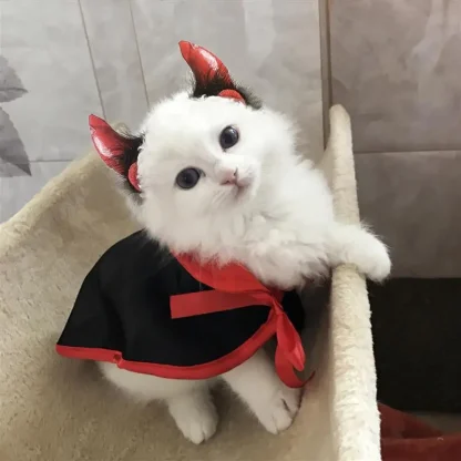 Kitten Halloween Cape Horns - Image 5