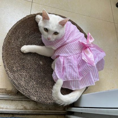 Striped and Plaid Cat Dress - Image 9