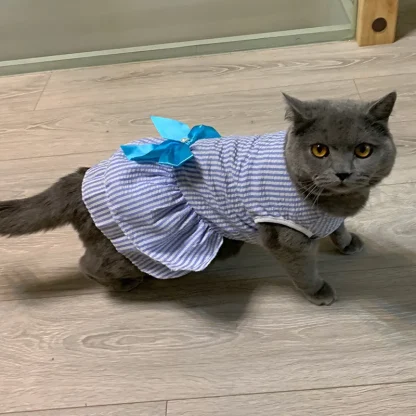 Striped and Plaid Cat Dress - Image 13