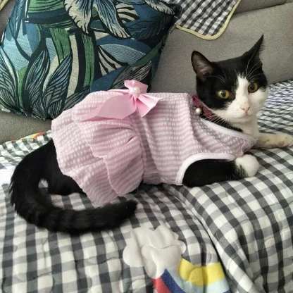Striped and Plaid Cat Dress - Image 15