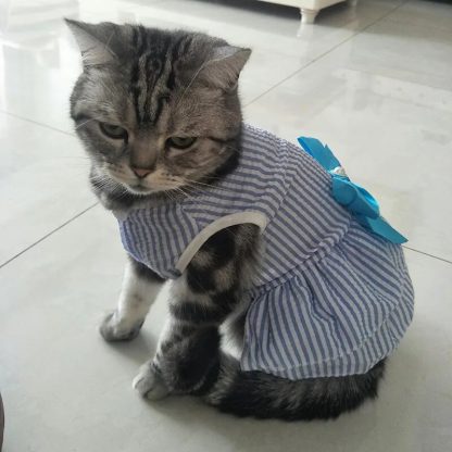 Striped and Plaid Cat Dress - Image 4