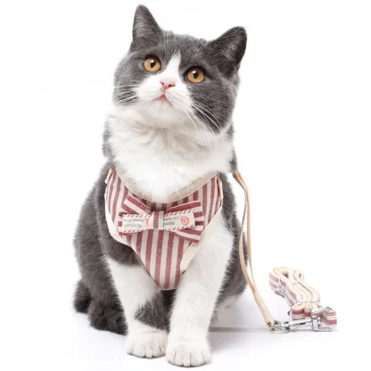 Stylish Kitten Vest Kit - Image 2