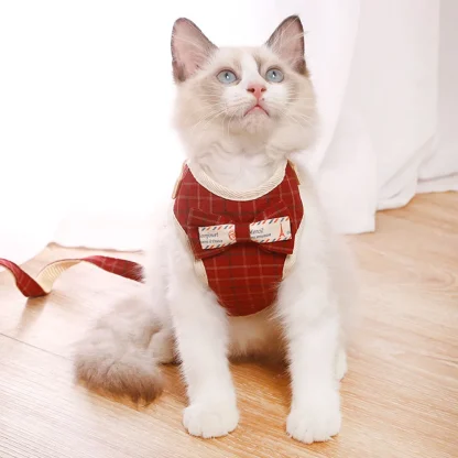 Stylish Kitten Vest Kit - Image 3