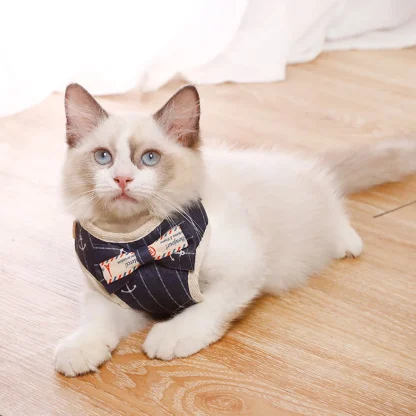 Stylish Kitten Vest Kit - Image 4