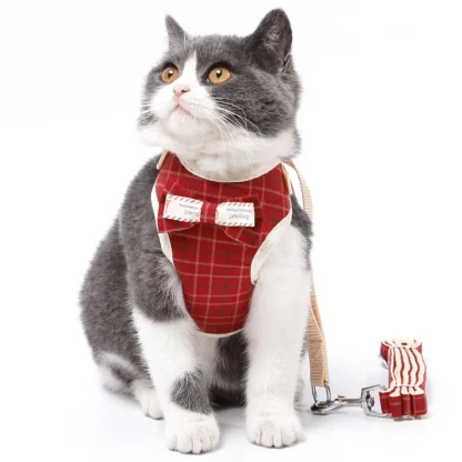 Stylish Kitten Vest Kit - Image 5