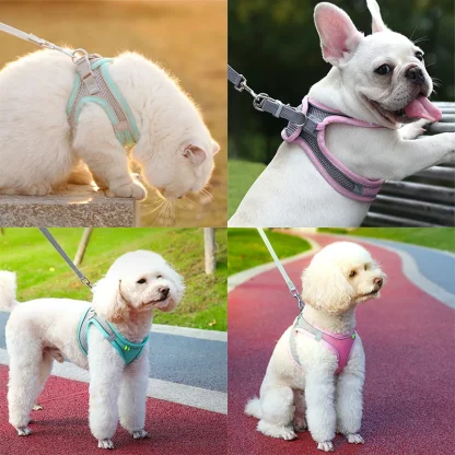 Adjustable Pet Harness & Leash - Image 5