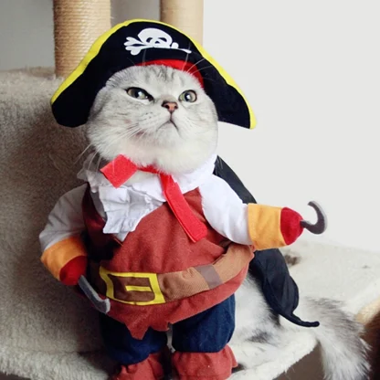 Halloween Pet Pirate Costume