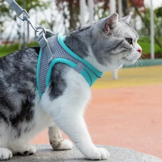 Adjustable Pet Harness & Leash