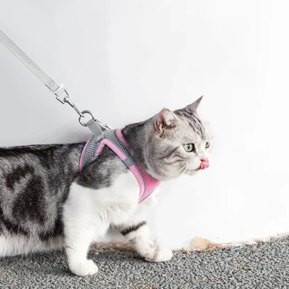 Adjustable Pet Harness & Leash - Image 2