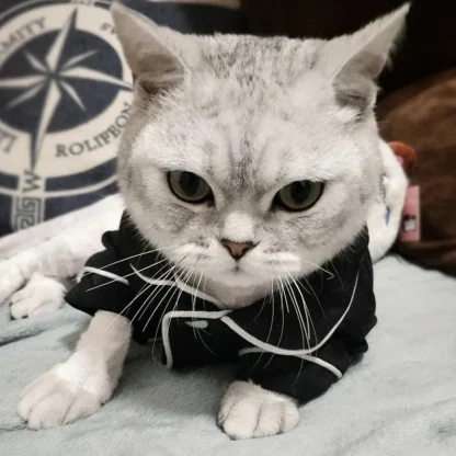 Christmas Pajamas for Pets - Image 2