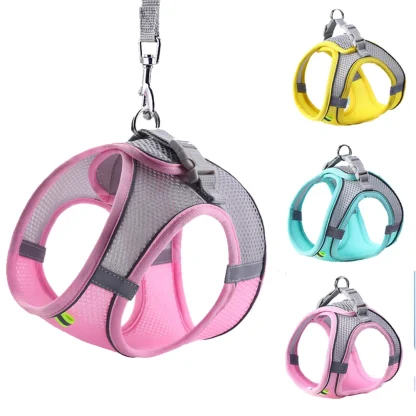 Adjustable Pet Harness & Leash - Image 4