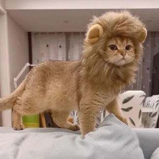 Lion Mane Costume for Pets