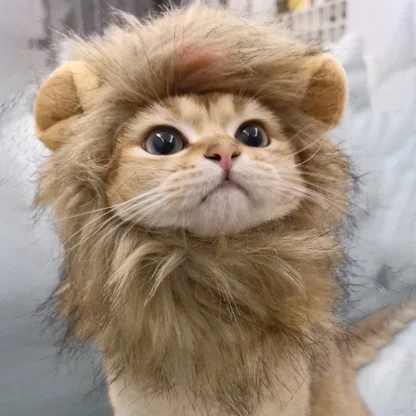Lion Mane Costume for Pets - Image 3