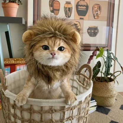 Lion Mane Costume for Pets - Image 5