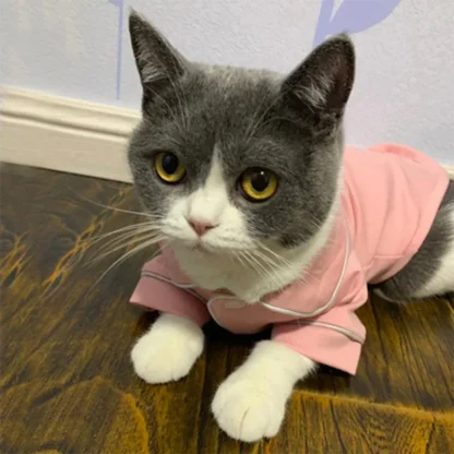 Christmas Pajamas for Pets - Image 4